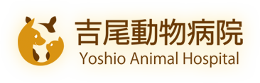 吉尾動物病院